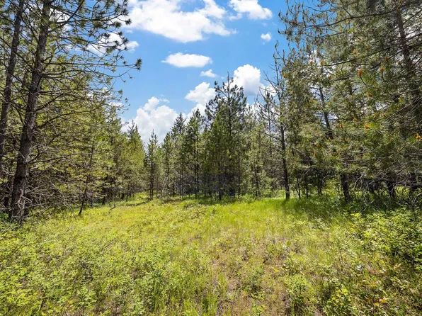 321 Glendale Dr, Newport, WA 99156