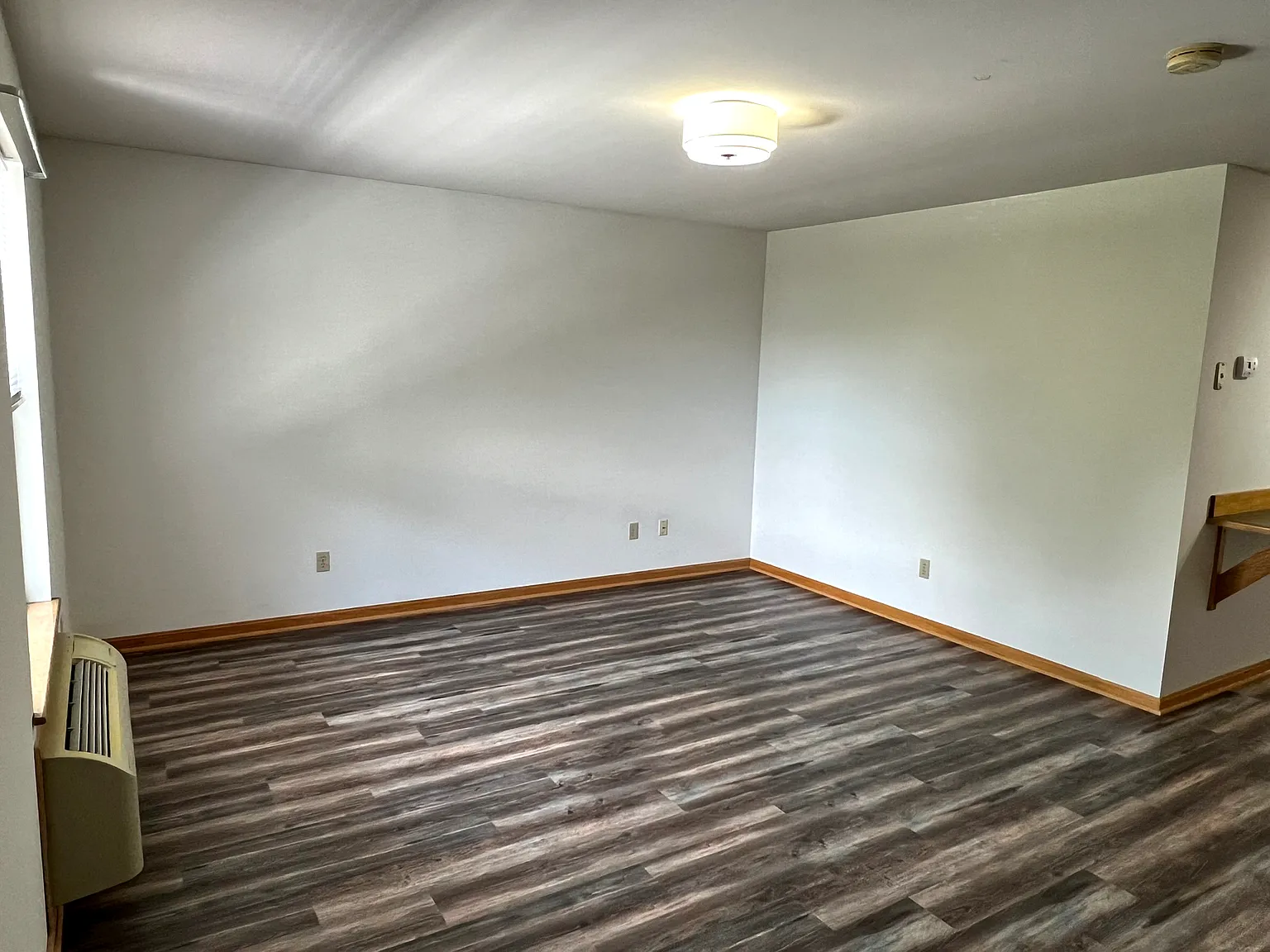 Studio, $910 — Photo 3