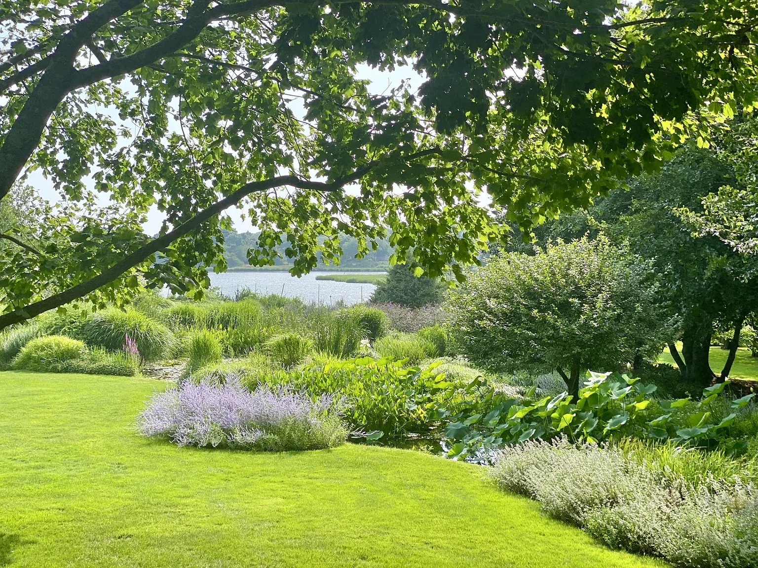 Estate Section 2+ acres Waterfront and Dock — Photo 4