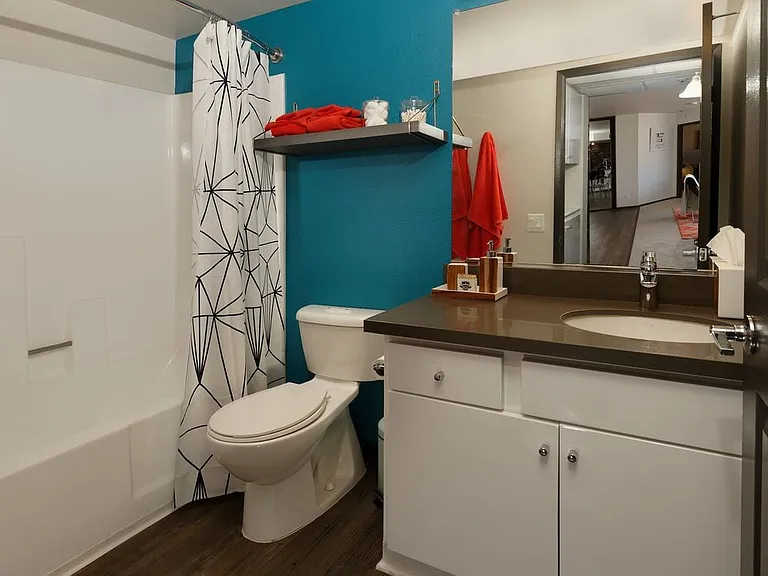 Standard Apartment Bath with Hard Surface Vinyl Plank Flooring