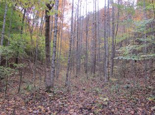 Fern Hollow Rd, Townsend, TN 37882