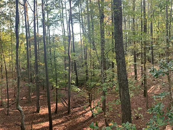 3rd image of 10 Ac Groton Woods Woods Tract A