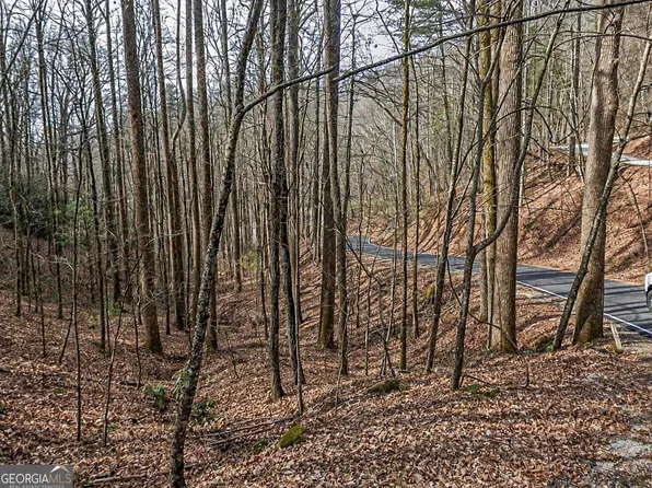 296 & 297 Evergreen Ln, Dillard, GA 30537