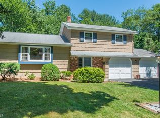 46 Stalter Dr, Wayne, NJ 07470