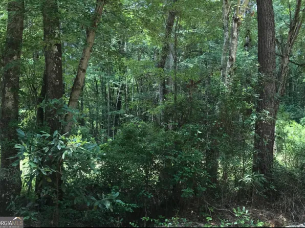 0 Knowles Ln, Mc Rae Helena, GA 31055