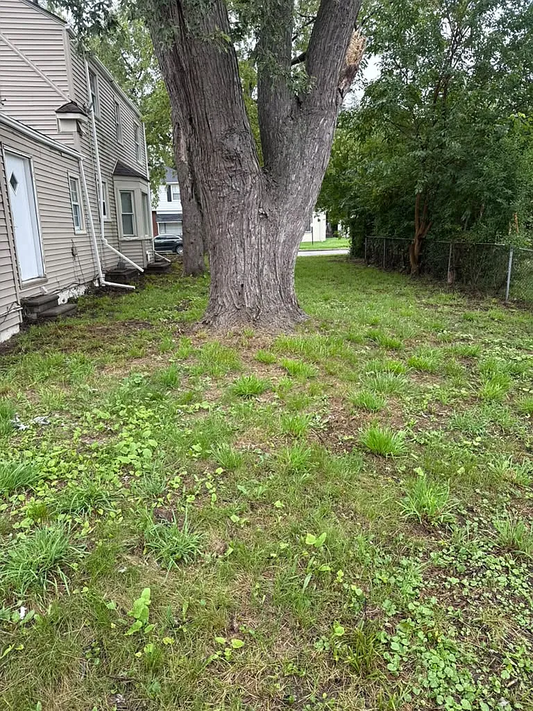 3 bed, 1200 sqft, $1,500 — Photo 3