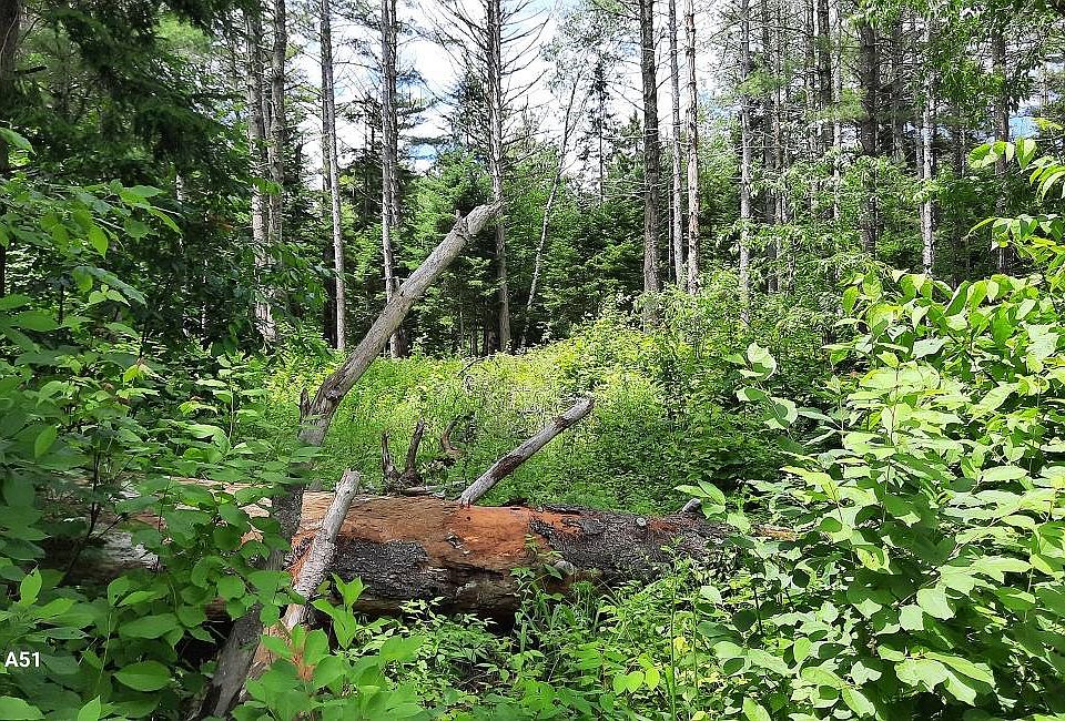 2nd image of 141 Elm Lake Rd