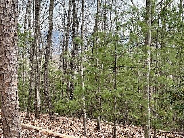 1st image of LOT 7 Marjorie Ave #7