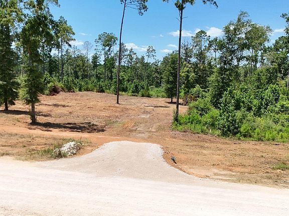 3rd image of Reveille Rd
