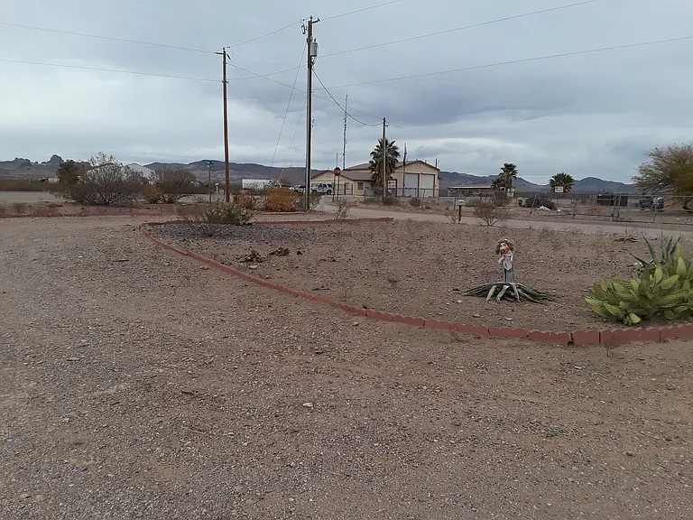Large Circle Drive
Looking towards Fire Station and Buss Stop.