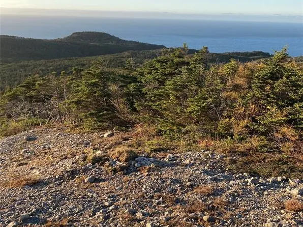1690 Oceanview Drive, Cape St. George, NL A0N1E0