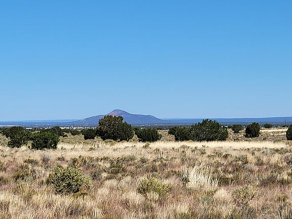 3rd image of 2816 E Wingfield Rd