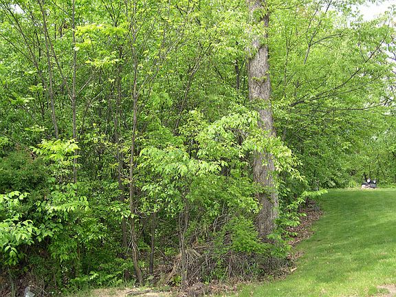 4th image of 621 Derby Dr
