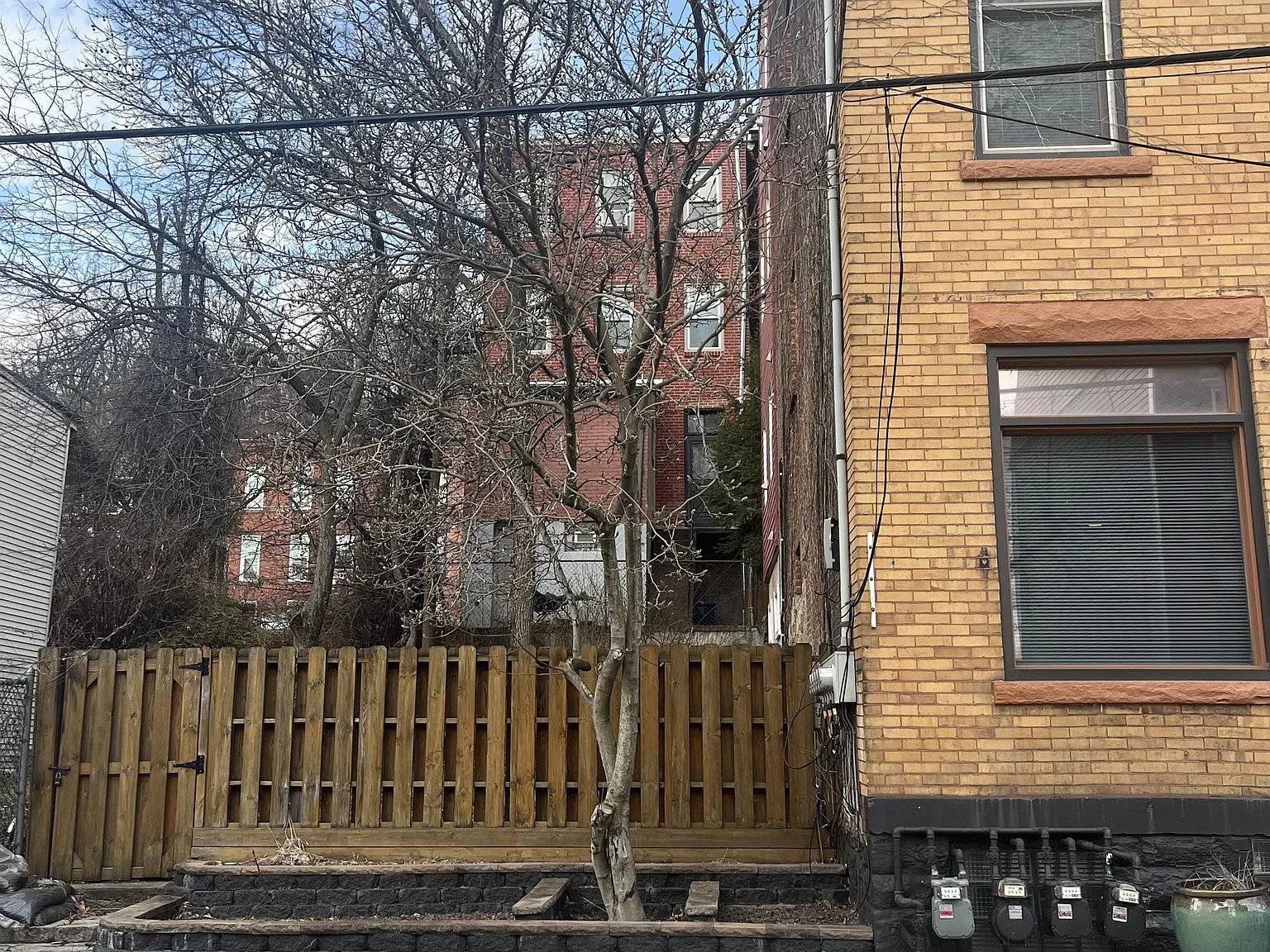 240 Carrington Street - #3 — Photo 4