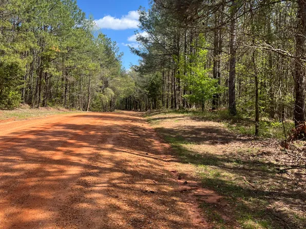 County Road 276, Union, MS 39365