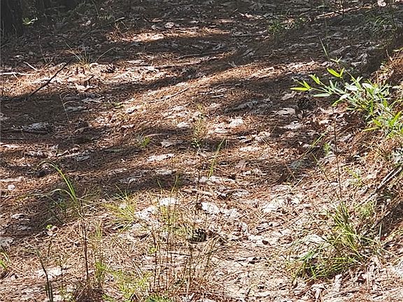 5th image of 1702 Goings Rd