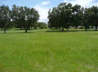 314 E Eureka Ct, Hernando, FL 34442