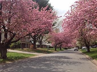 4th image of 1311 Bonnie Ave