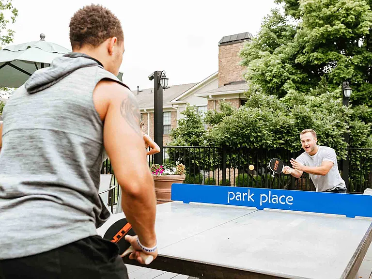 Ping pong table
