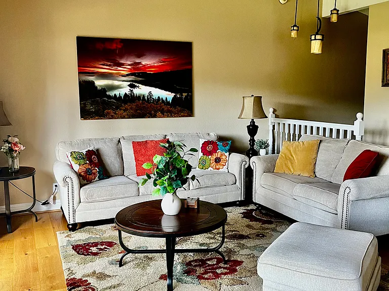 Living room - Sofa with pull out couch.