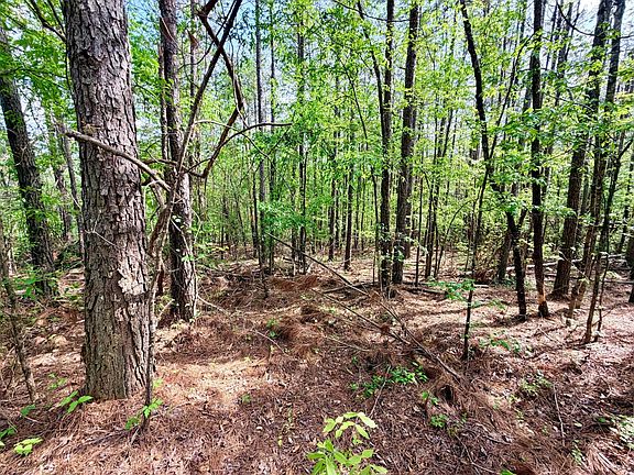 3rd image of County Road 312