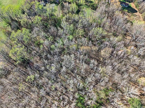 5th image of 732 Pickthorne Rd
