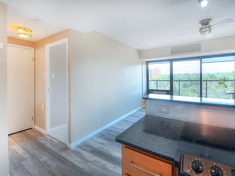 417 E Kiowa St #707 — Photo 2