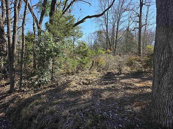 2nd image of 0 County Road 1420