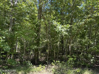 0 Goodson Trl LOT 104, Monterey, TN, 38574