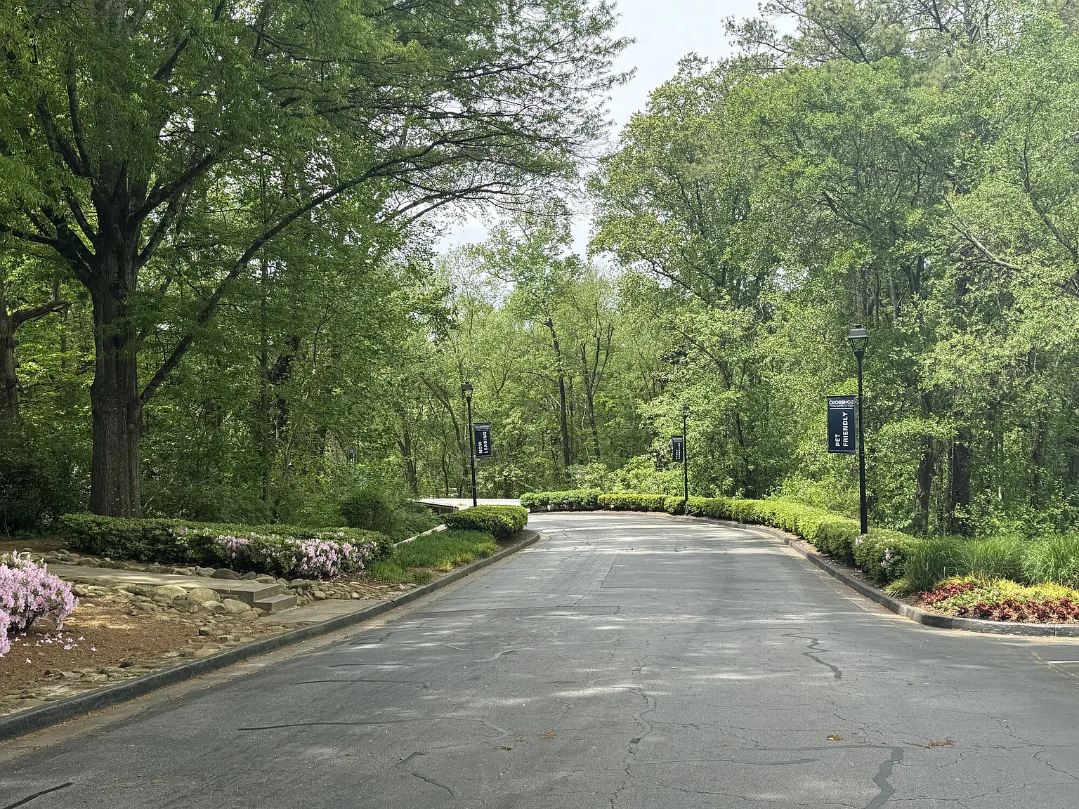 Crossing at Holcomb Bridge — Photo 1