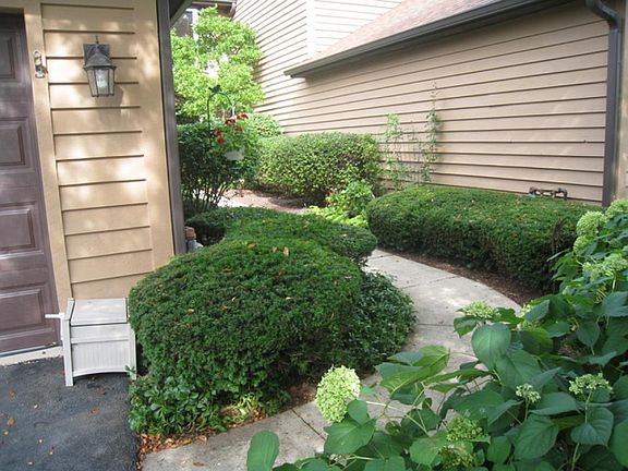 3rd image of 802 Saddlewood Dr