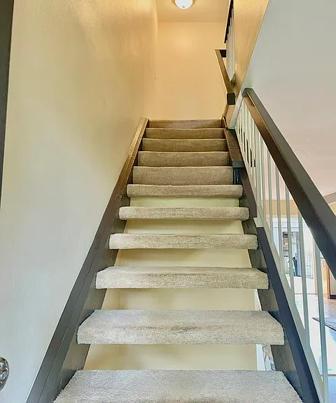 Carpeted Staircase
