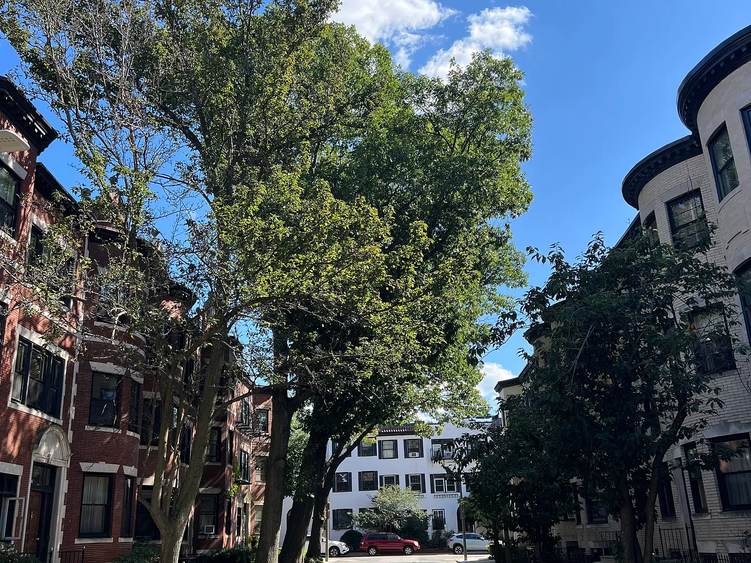 1 bed, 550 sqft, $3,200 — Photo 3