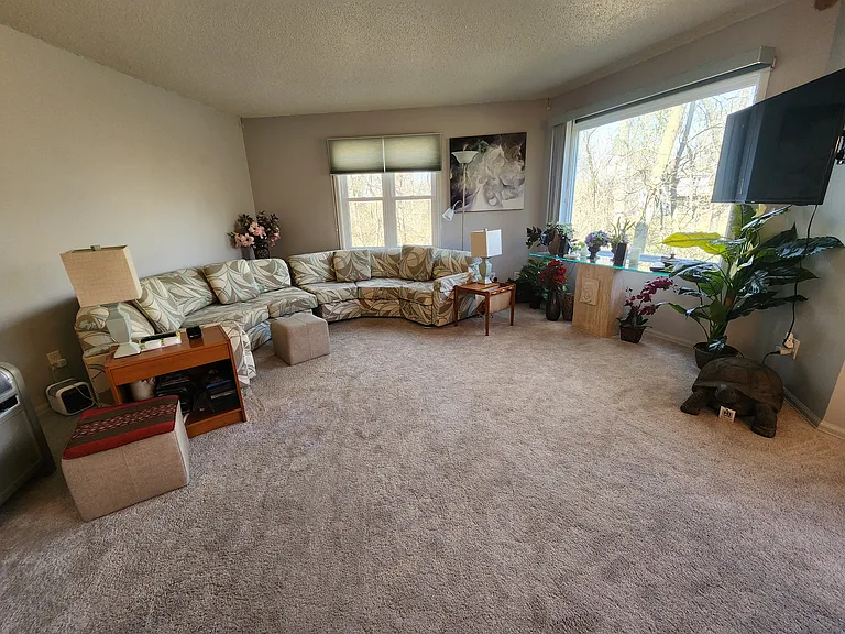 701 E Lowe Ave #411 — Photo 17