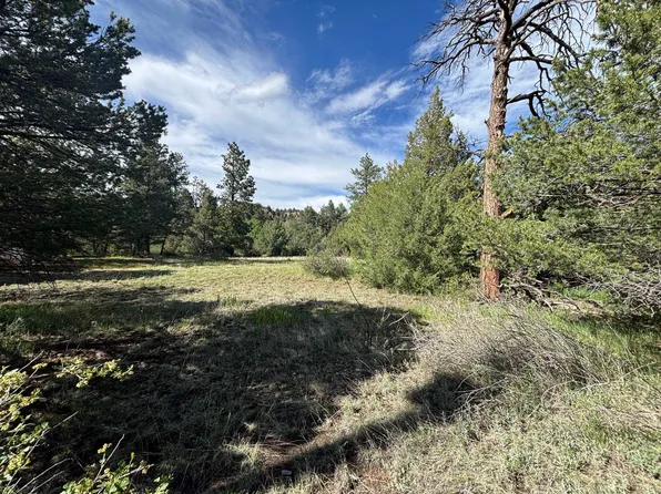 29655 Highway 64, Ute Park, NM 87749