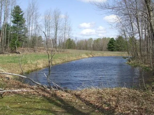 1450 E Garfield Rd, Hesperia, MI 49421