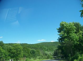 Bert Washburn Rd, Otego, NY 13825