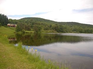 118 Shale Pit Rd, Gilboa, NY 12076