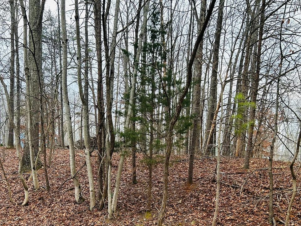 2nd image of LOT Fifty Bent Tree Rd