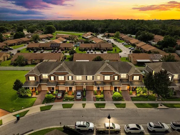 1163 Honey Blossom Dr, Orlando, FL 32824