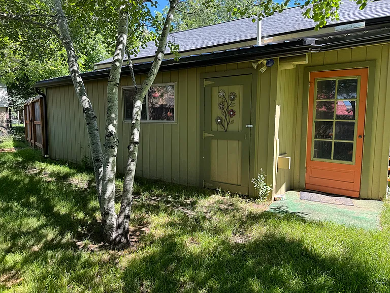 Door leading to backyard