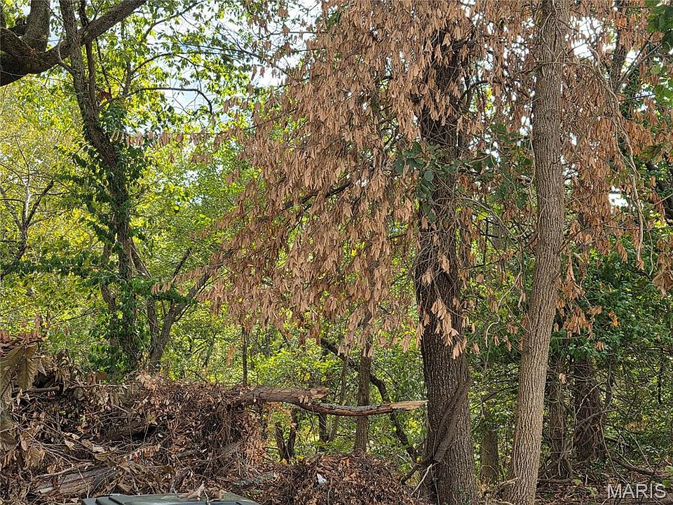 2nd image of Bluff Cir