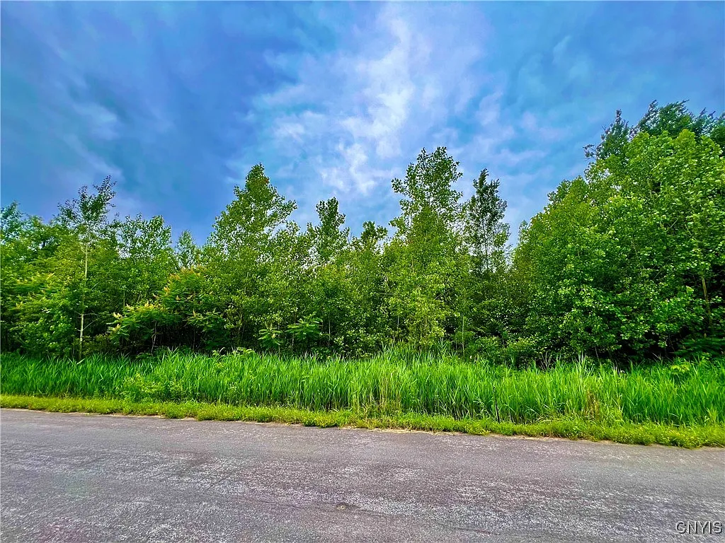 LOT 17 Forest Ridge Dr Lot 17 photo 1