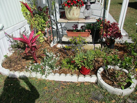 Landscaped