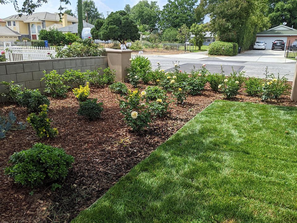 Rose Garden