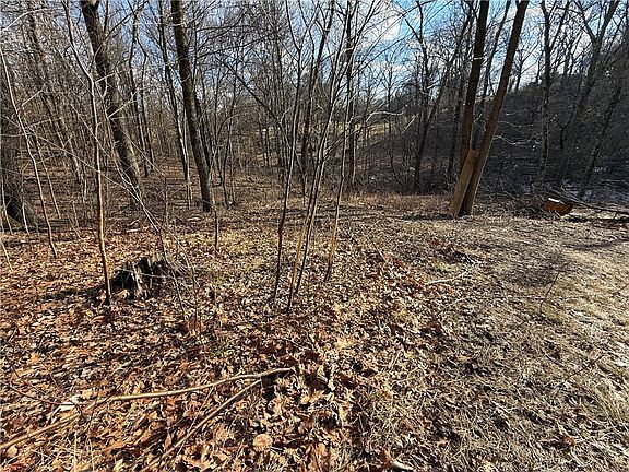 3rd image of 46 Simon Rd
