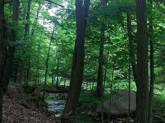 5th image of 0 N Lake Rd