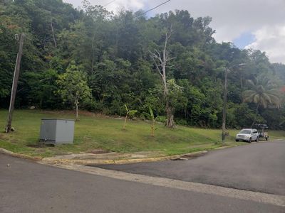 Urb El Plantio Remanente M Calle 4, Toa Baja, PR, 00949