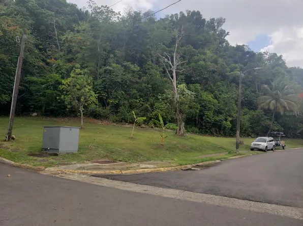 Urb El Plantio Remanente M Calle 4, Toa Baja, PR 00949