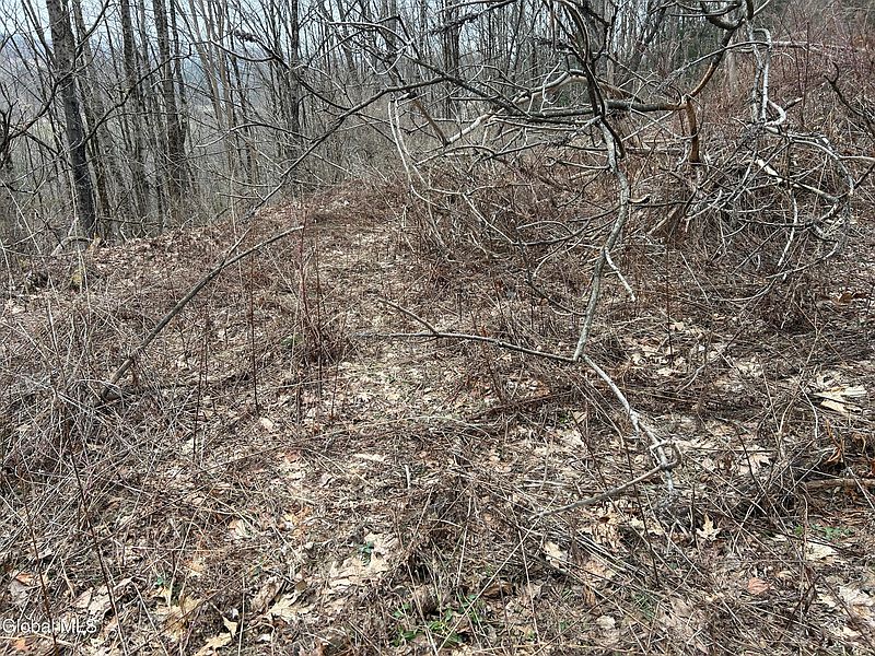 5th image of 135 Clark Way